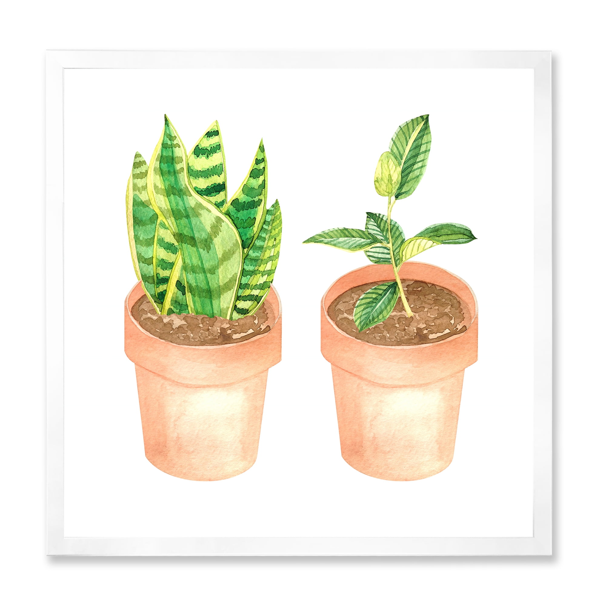 Designart 'Ficus and Sansevieria Indoor Green Home House Plants' Traditional Framed Art Print
