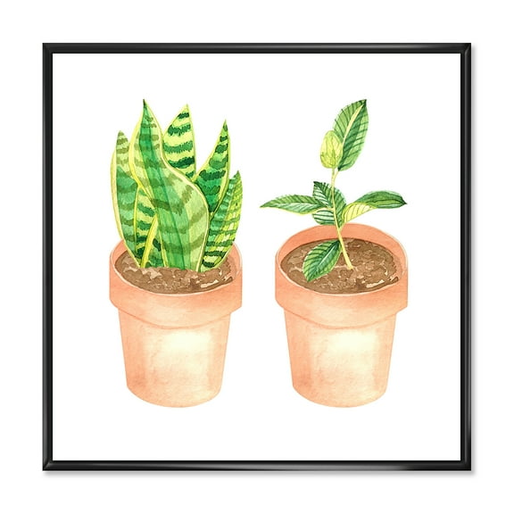 Designart 'Ficus and Sansevieria Indoor Green Home House Plants' Traditional Framed Canvas Wall Art Print