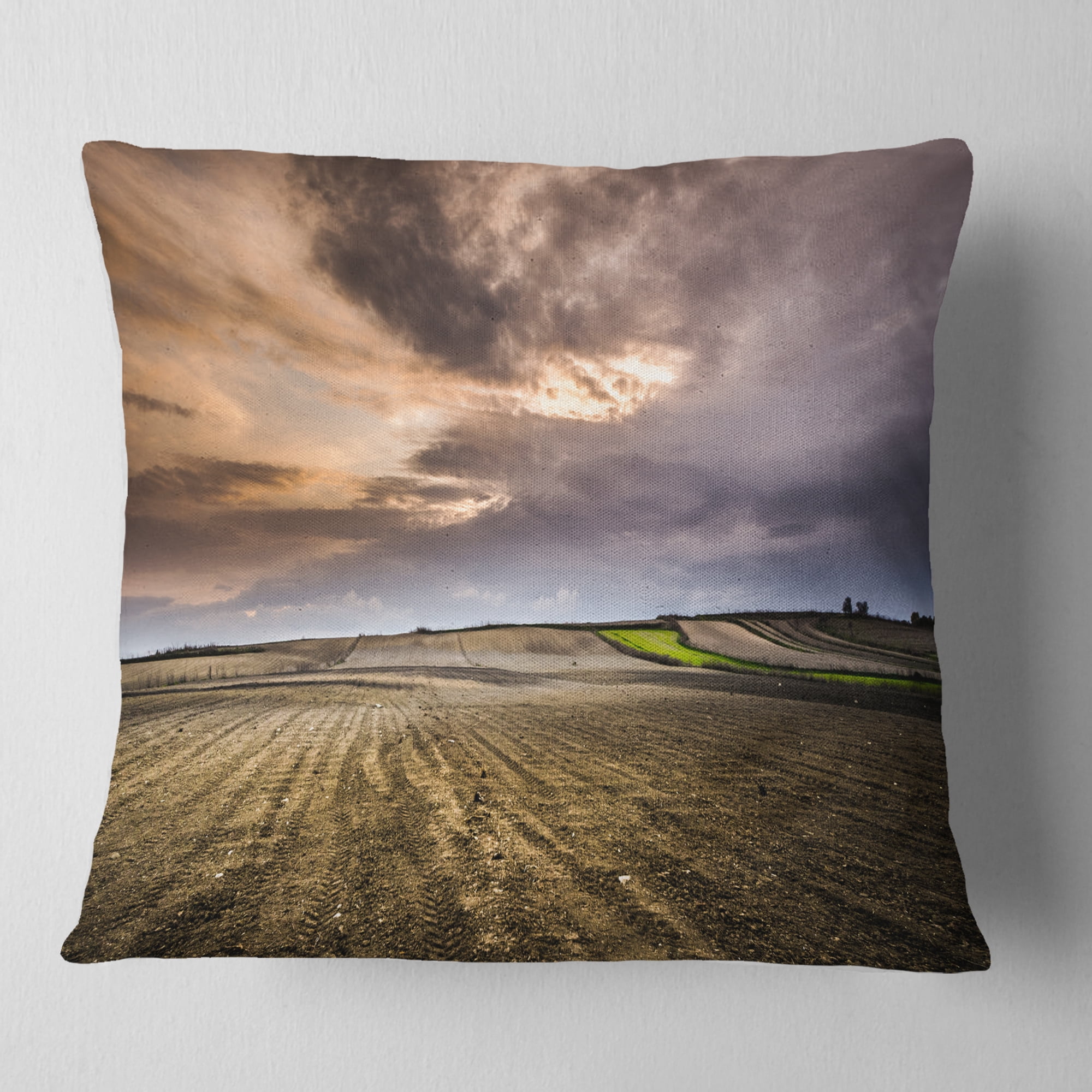 Designart Field Waiting for Cultivation - Landscape Printed Throw Pillow - 16x16