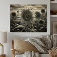 thumbnail image 1 of Designart "Field of Dreams Monochrome Sunflowers I" Floral Print on Natural Pine Wood, 1 of 5