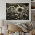 thumbnail image 1 of Designart "Field of Dreams Monochrome Sunflowers II" Floral Print on Natural Pine Wood, 1 of 5
