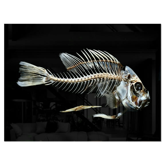 Designart 'Fish Skeleton Bone on Black ' Animal Metal Wall Art