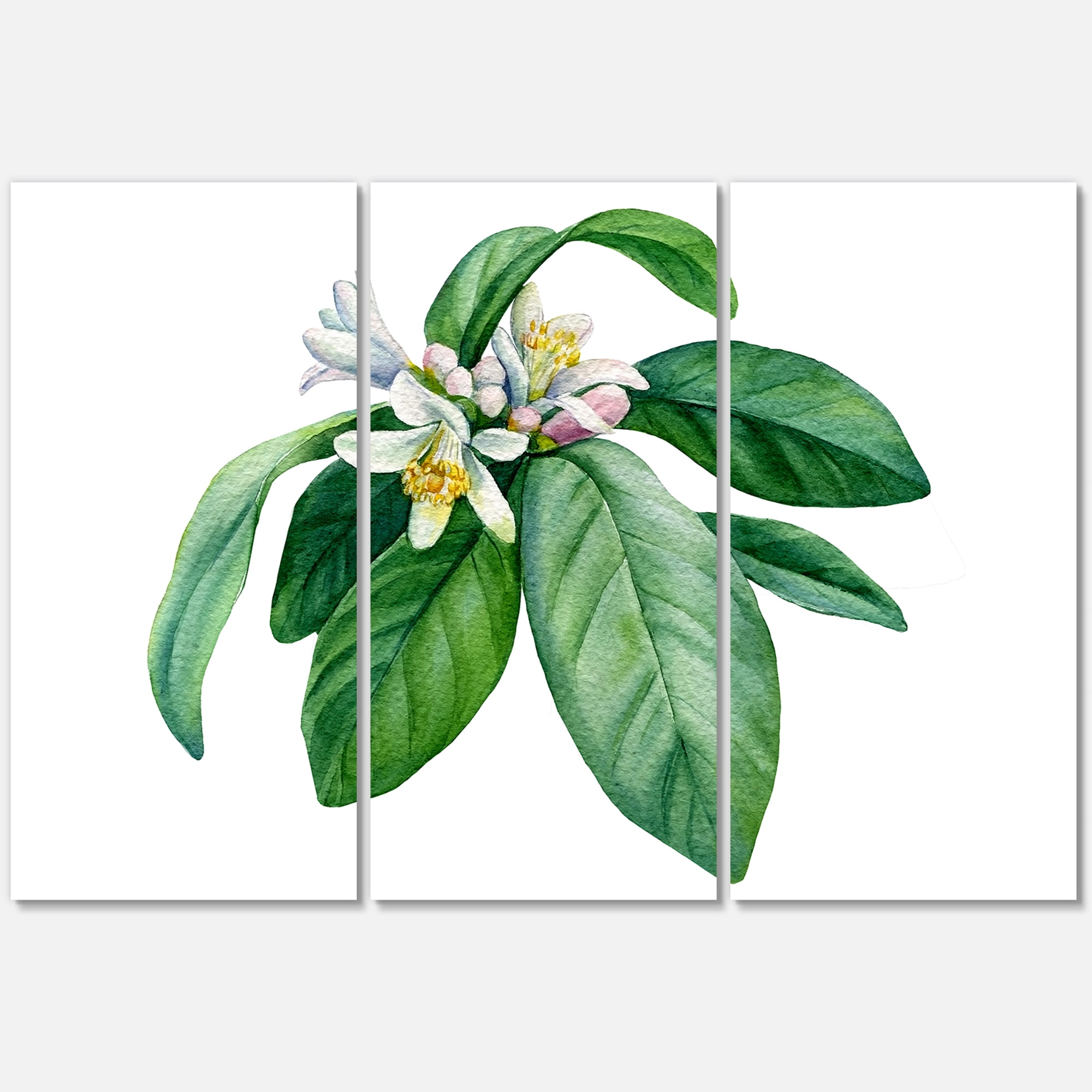 Designart ' Flowering Mandarin With Branch ' Traditional Canvas Wall Art Print