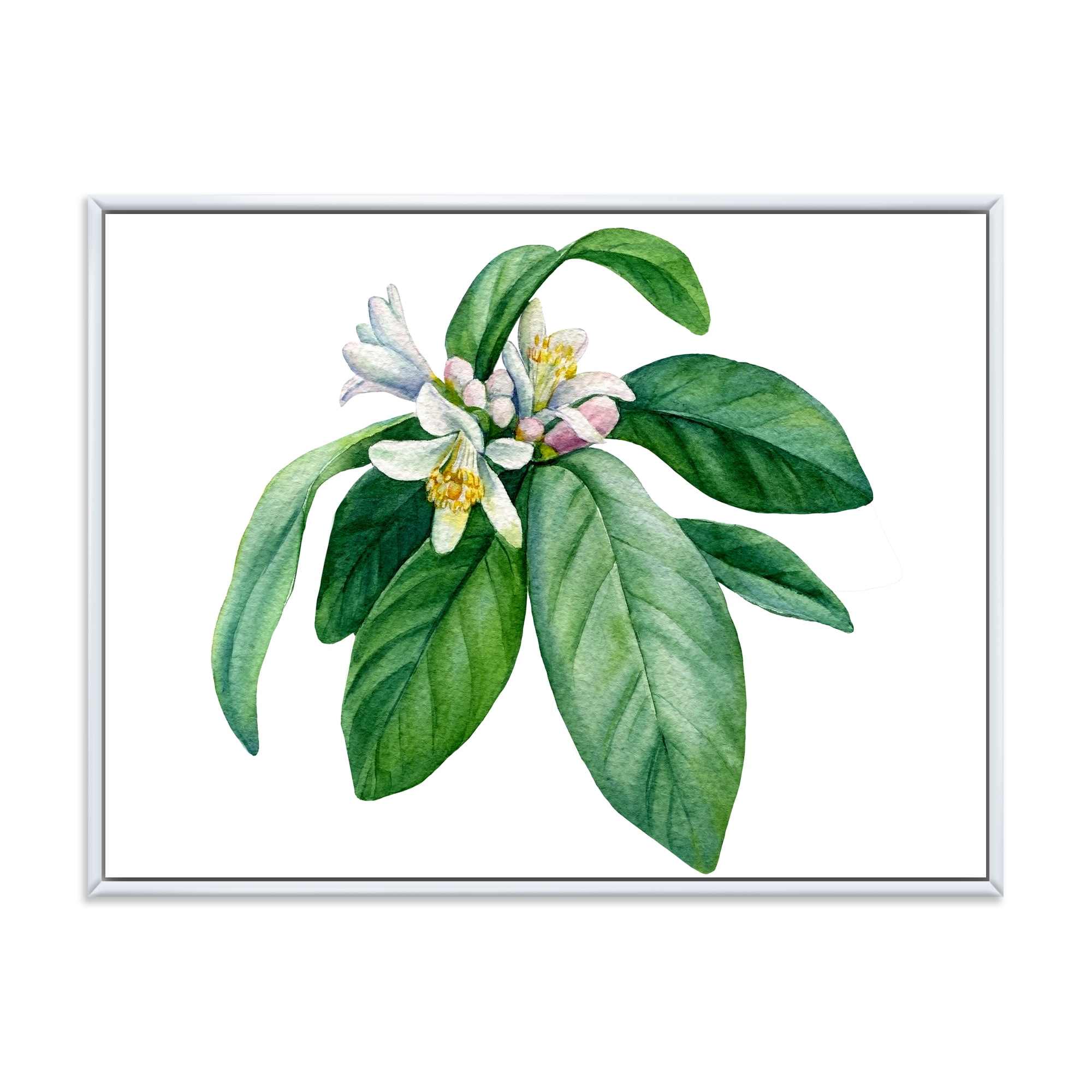 Designart 'Flowering Mandarin With Branch' Traditional Framed Canvas Wall Art Print