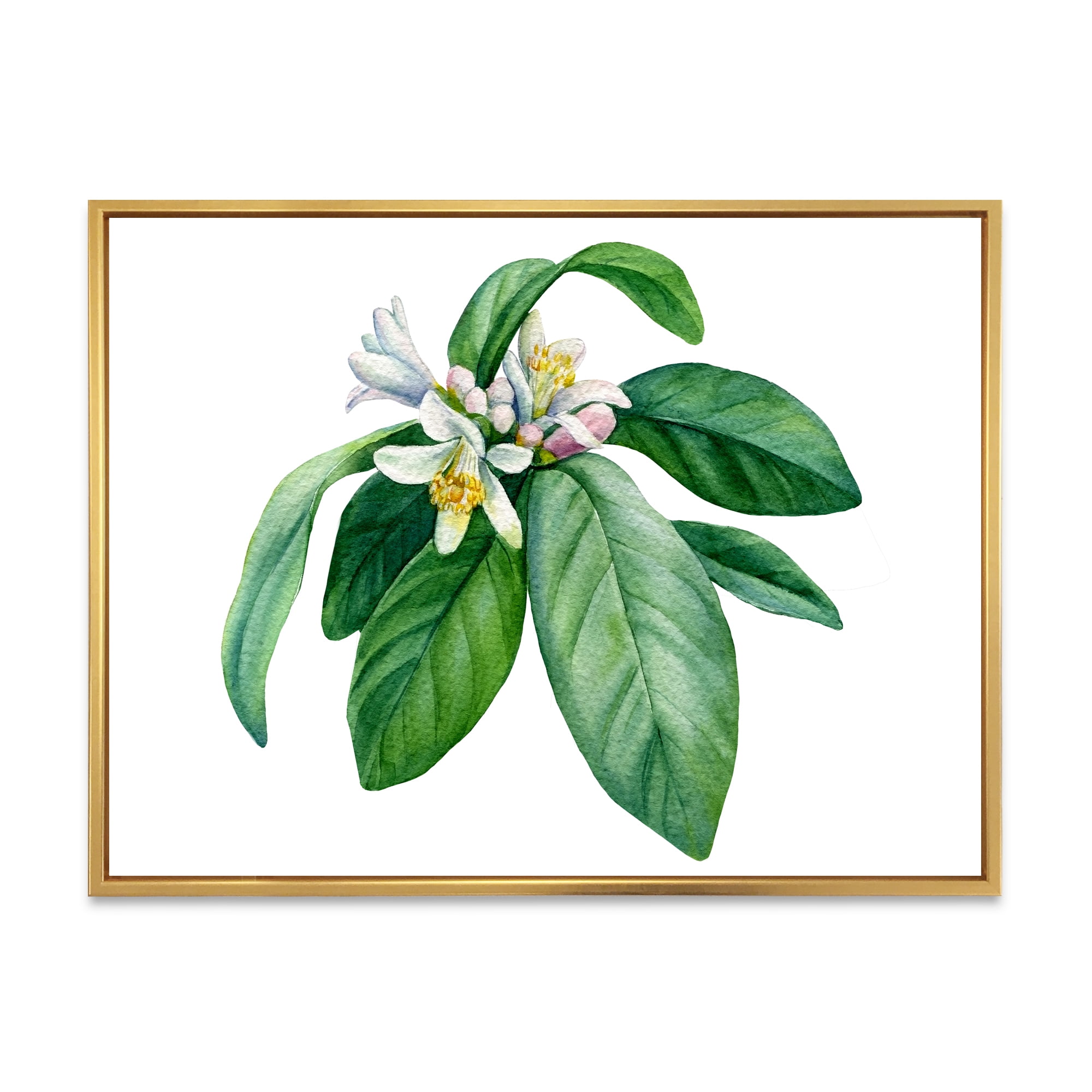 Designart 'Flowering Mandarin With Branch' Traditional Framed Canvas Wall Art Print