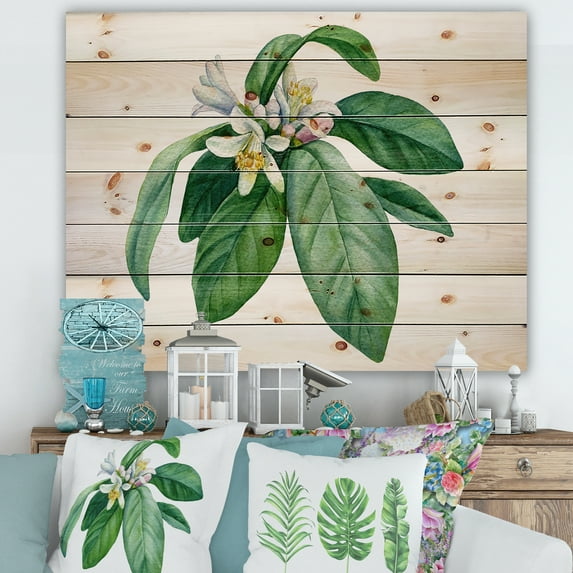 Designart 'Flowering Mandarin With Branch' Traditional Print on Natural Pine Wood