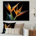 thumbnail image 1 of Designart "Flowers Amidst the Birds of Paradise II" Floral Floater Framed Wall Art Living Room, 1 of 7