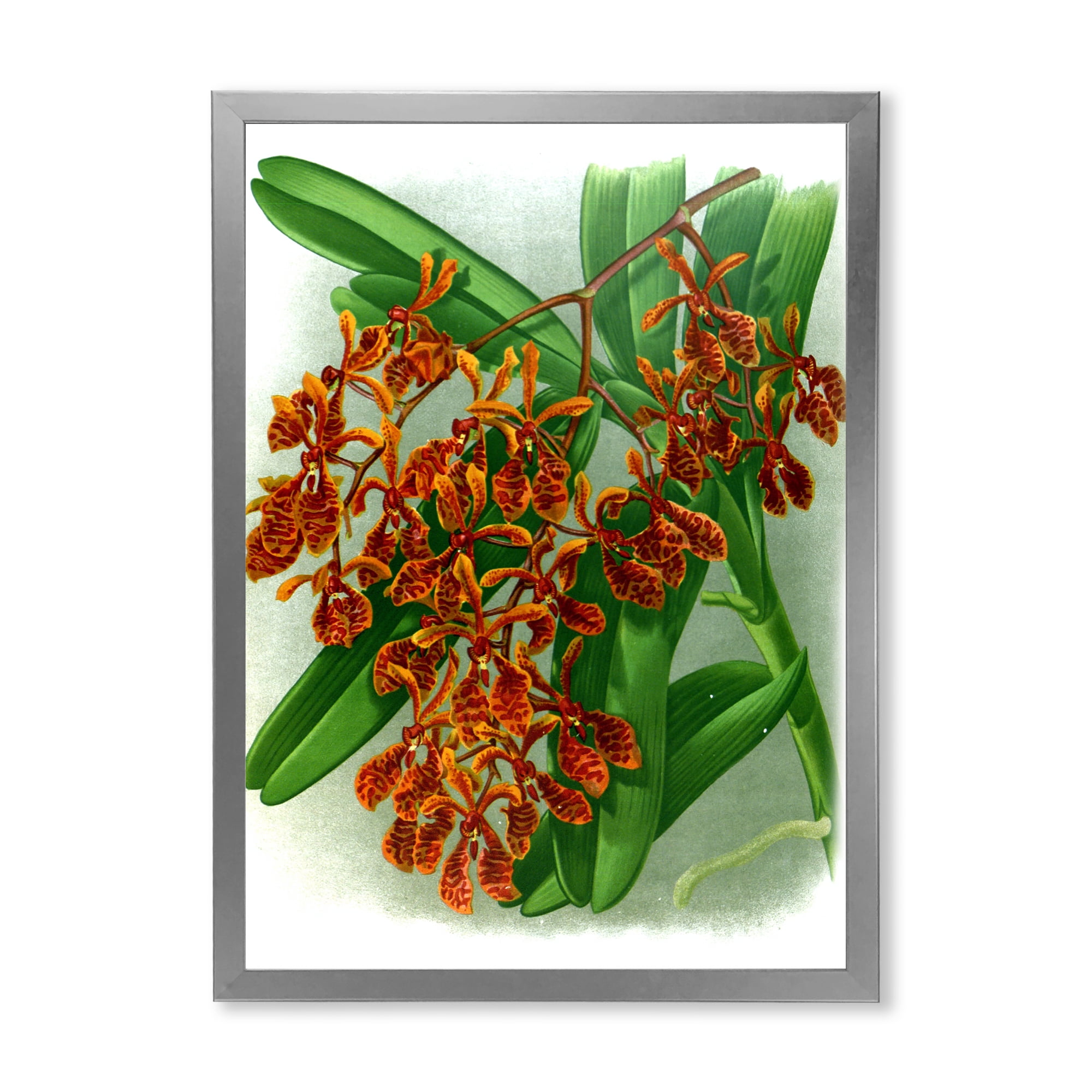 Designart 'Flowers Retro II' Farmhouse Framed Art Print
