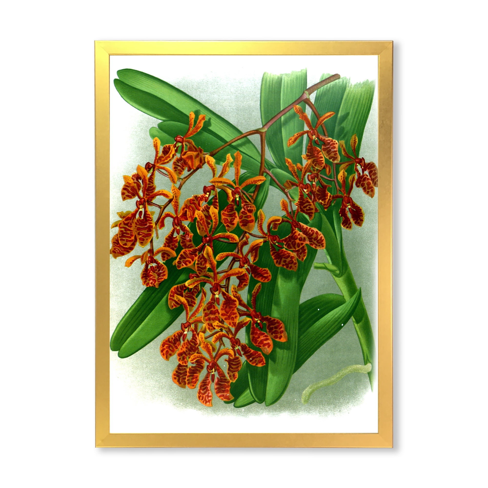 Designart 'Flowers Retro II' Farmhouse Framed Art Print