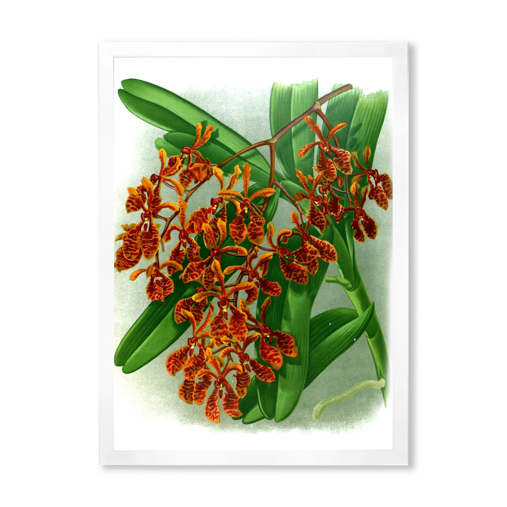 Designart 'Flowers Retro II' Farmhouse Framed Art Print