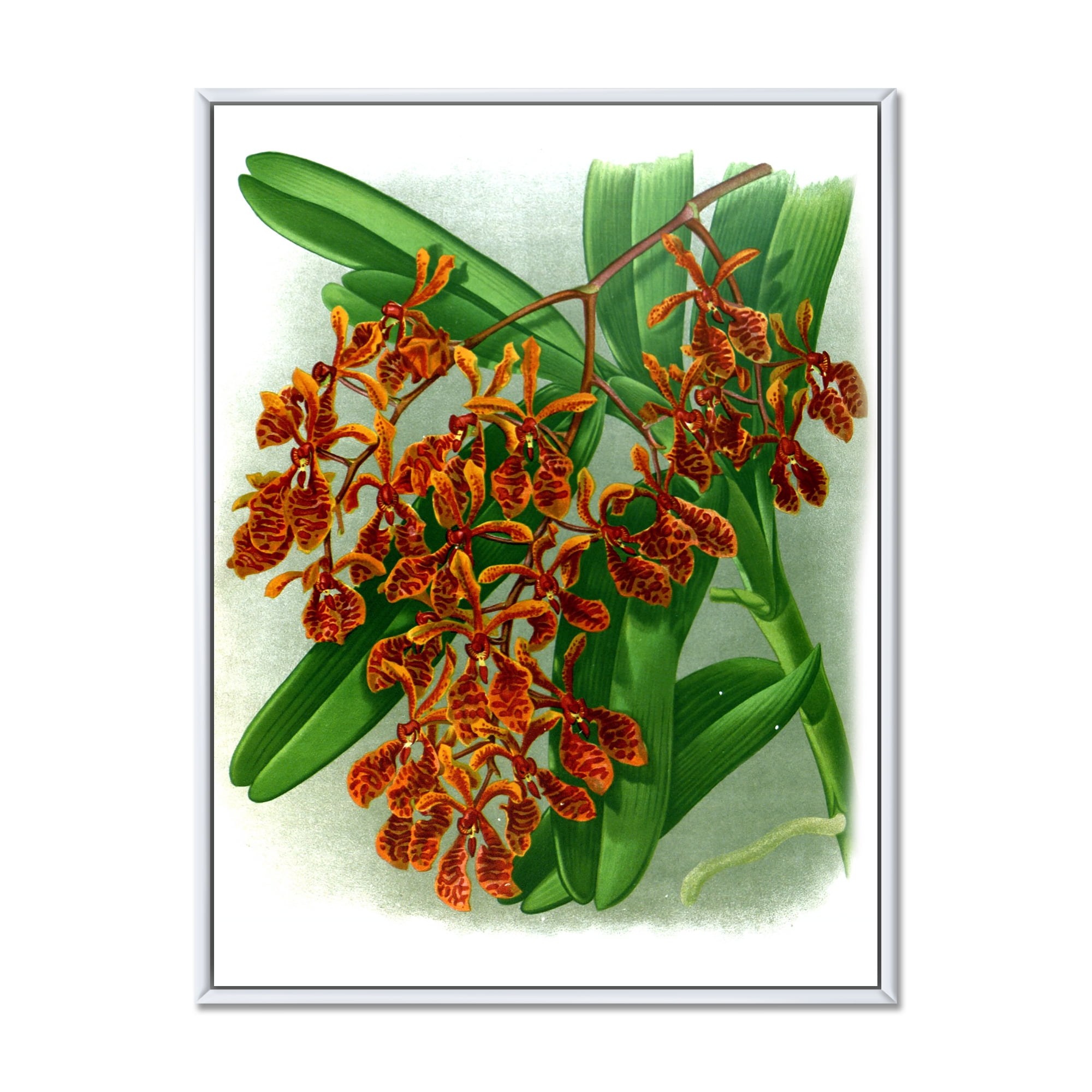 Designart 'Flowers Retro II' Farmhouse Framed Canvas Wall Art Print