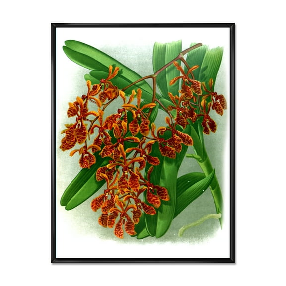 Designart 'Flowers Retro II' Farmhouse Framed Canvas Wall Art Print