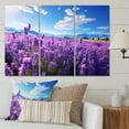 thumbnail image 1 of Designart "Flowers peaceful Lavender II" Floral Metal Wall Art Set, 1 of 5