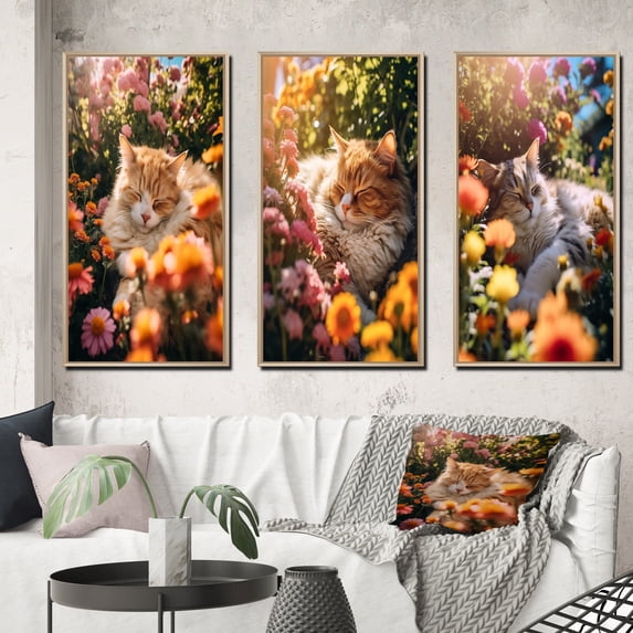 Designart "Fluffy Cat Sleeping in Sunny Flower Garden II" Animals Cat Framed Wall Art Set Of 3 - Brown Cat Frame Gallery Wall Set For Home Decor