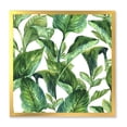 thumbnail image 1 of Designart 'Foliage Of Tropical Leaves On White' Tropical Framed Art Print, 1 of 4