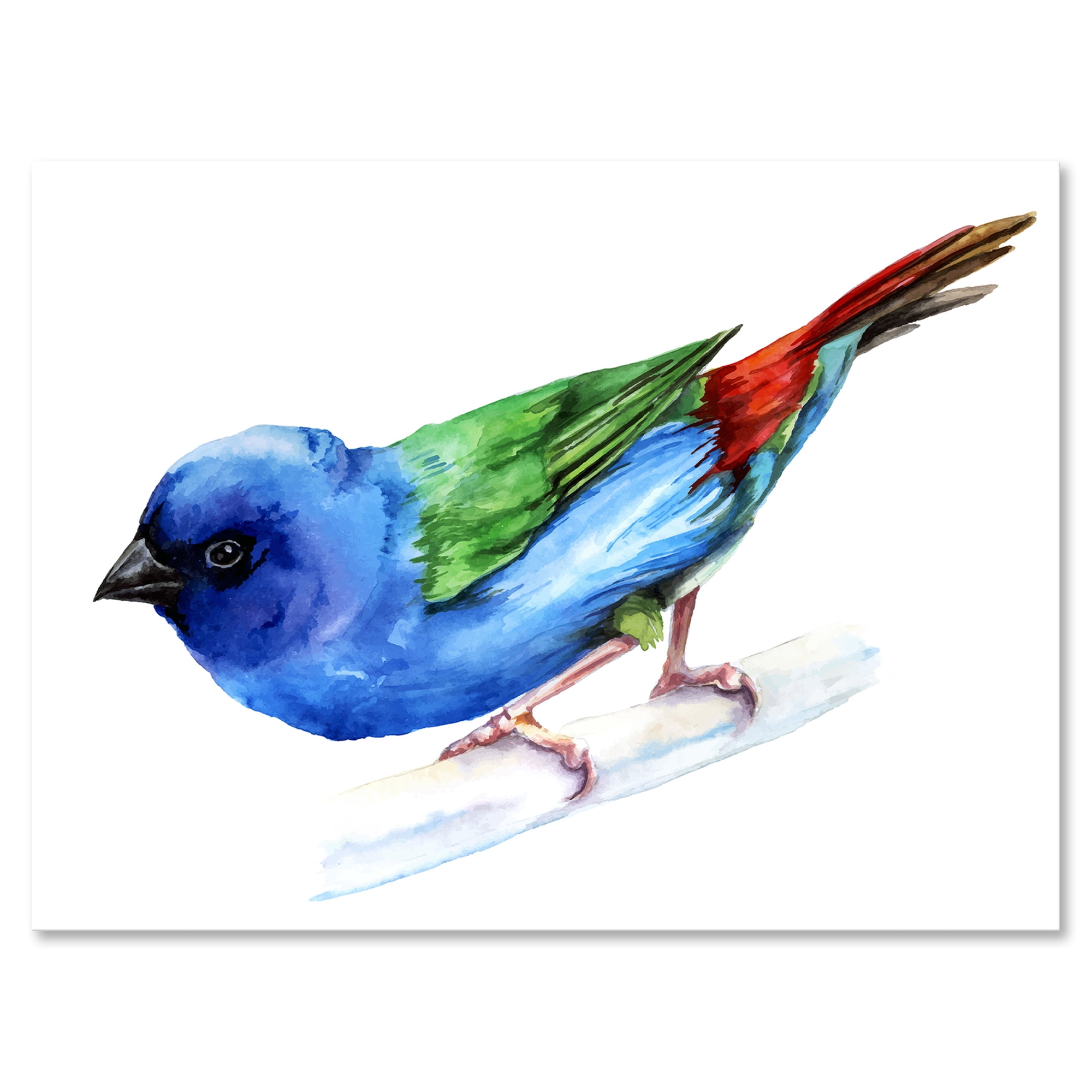 Designart ' Forbes Finch Bird On Branch ' Traditional Canvas Wall Art Print