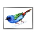 thumbnail image 1 of Designart 'Forbes Finch Bird On Branch' Traditional Framed Art Print, 1 of 4