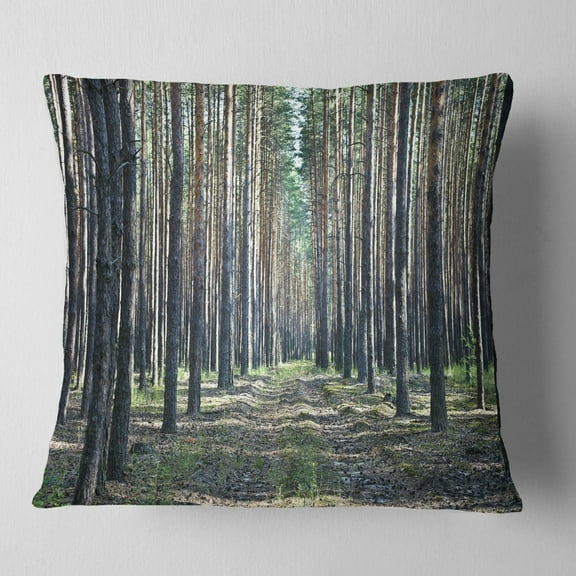 Designart Forest Road in Thick Woods - Modern Forest Throw Pillow - 16x16