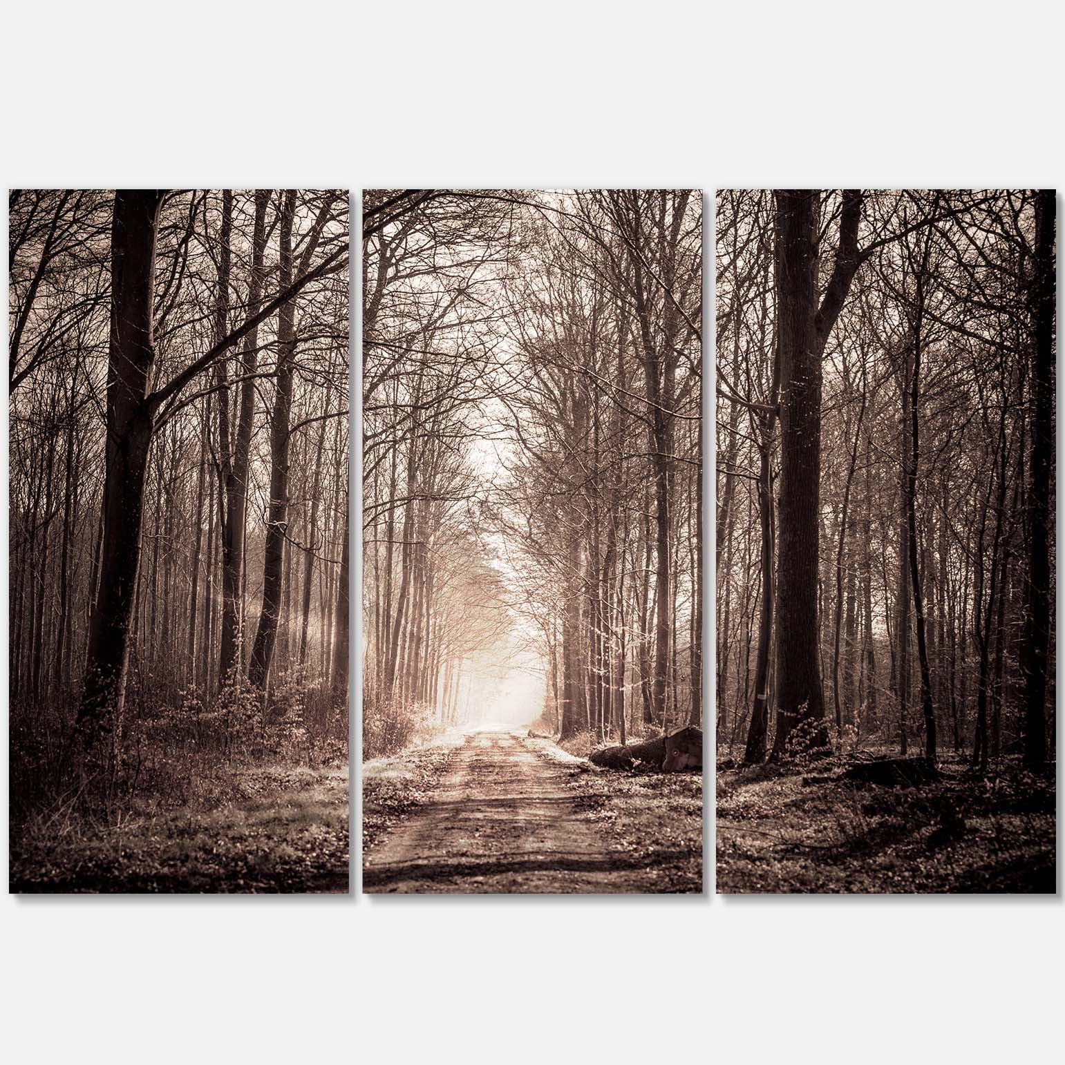 Designart 'Forest Trail in Sepia ' Landscape Photography Canvas Art Print