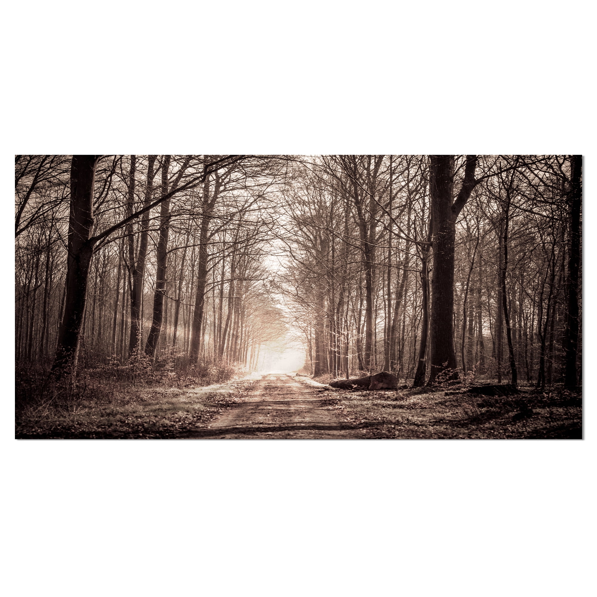Designart 'Forest Trail in Sepia ' Landscape Photography Canvas Art Print