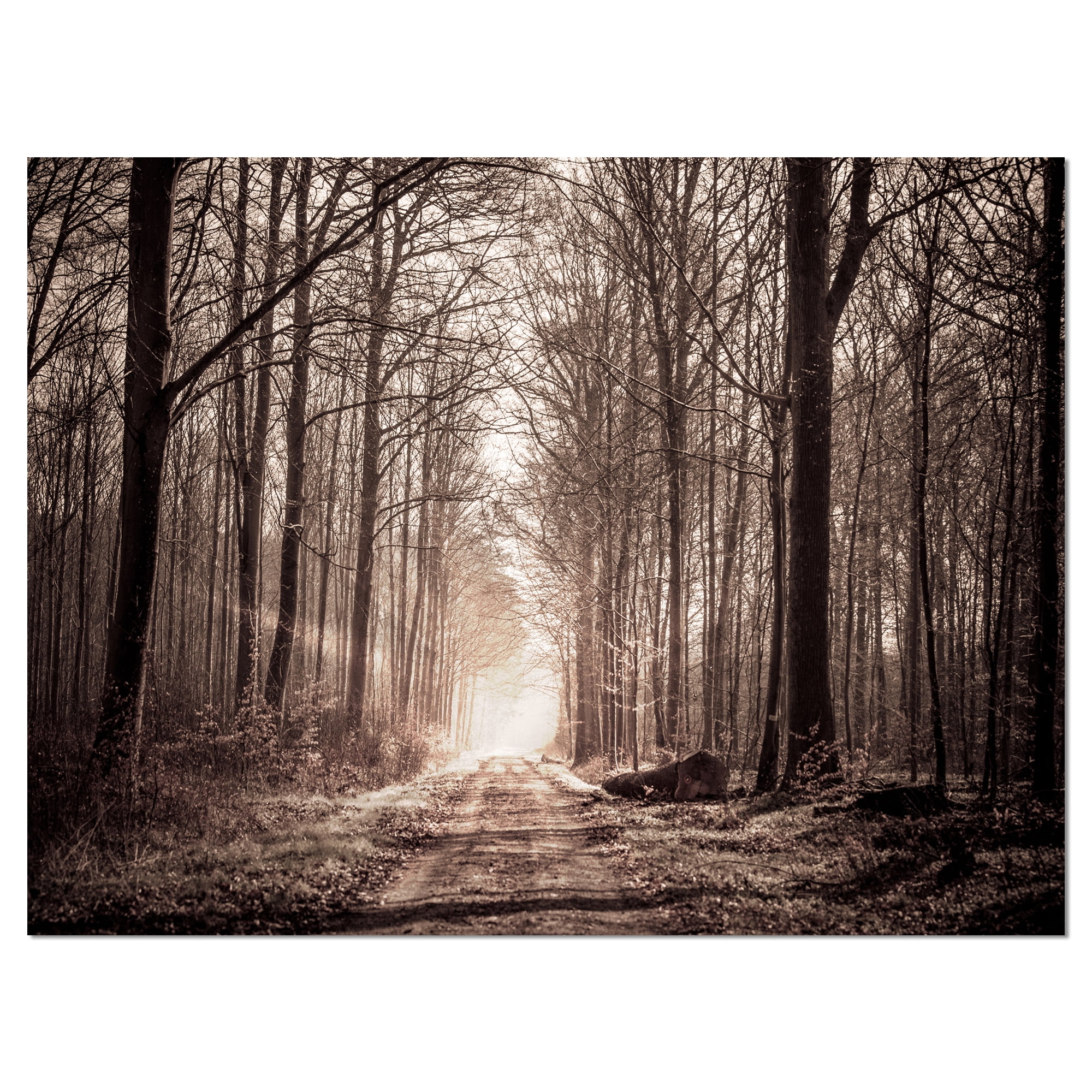 Designart 'Forest Trail in Sepia ' Landscape Photography Canvas
