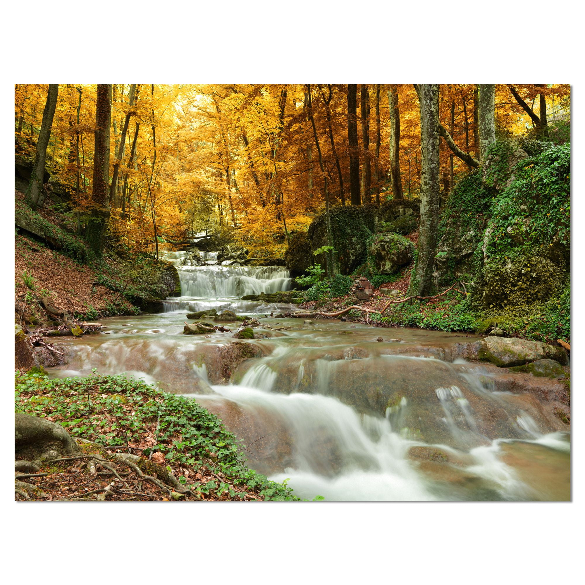 Large Yellow Trees Forest Waterfall Canvas Print