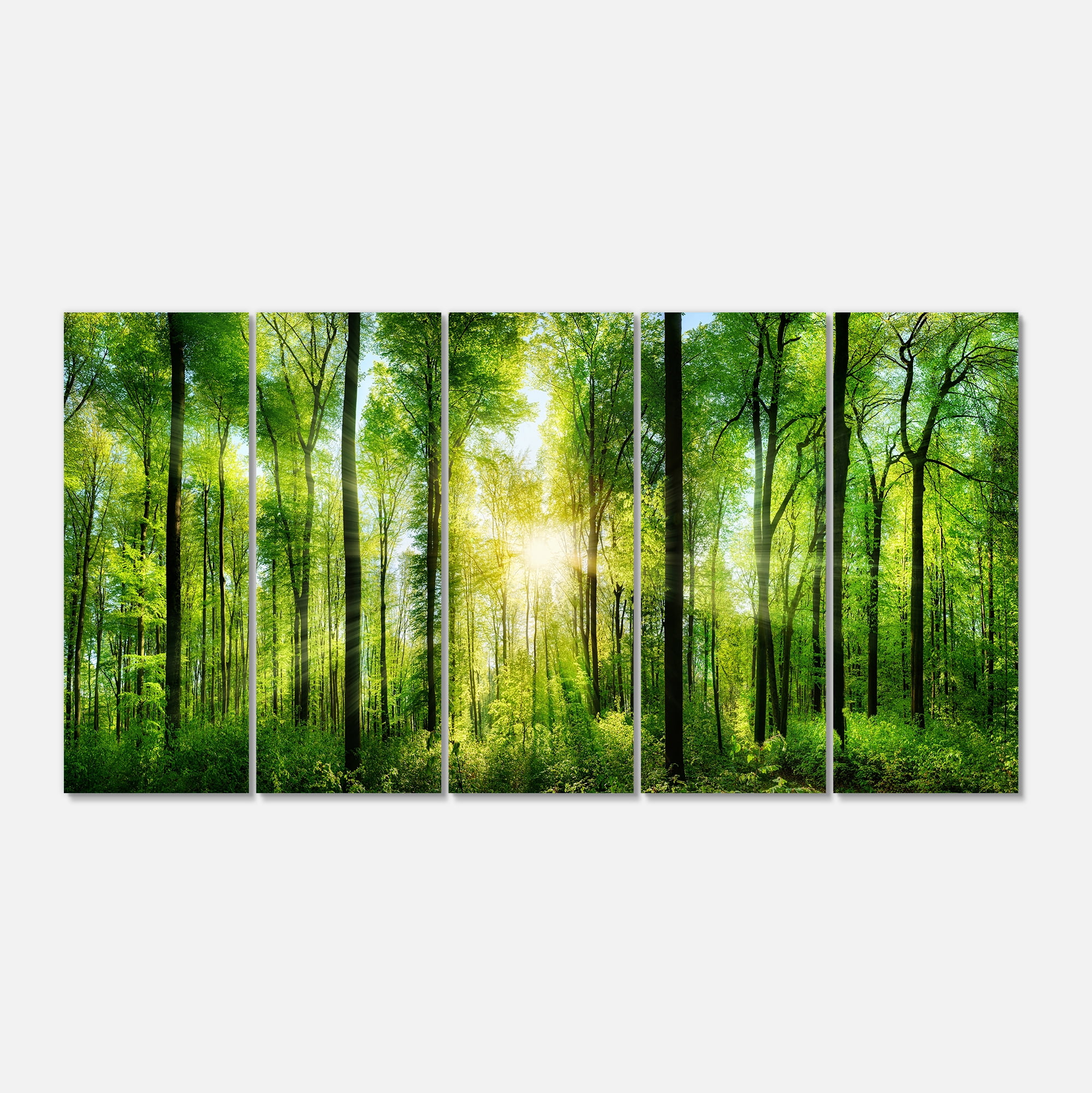 Designart 'Forest with Rays of Sun Panorama ' Landscape Art Print Canvas