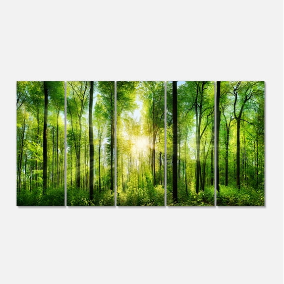 Designart 'Forest with Rays of Sun Panorama ' Landscape Art Print Canvas
