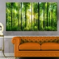 thumbnail image 1 of Designart 'Forest with Rays of Sun Panorama ' Landscape Art Print Canvas, 1 of 3