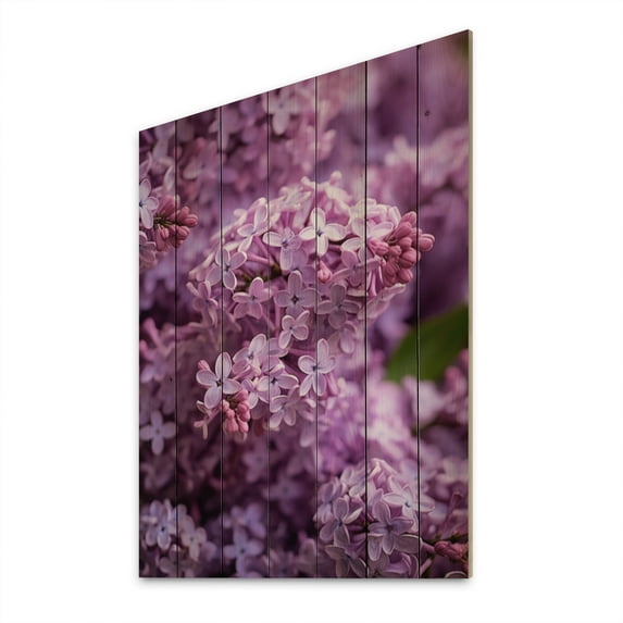 Designart "Fragrant Flowers in Purple Lilac I" Floral Print on Natural Pine Wood