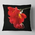 thumbnail image 1 of Designart Freesia Flower on Black Background - Floral Throw Pillow - 16x16, 1 of 4