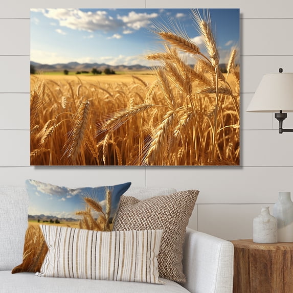 Designart "French Golden landscapes Of Britany I" Farm Canvas Print