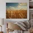 thumbnail image 1 of Designart "French Golden landscapes Of Britany II" Farm Print on Natural Pine Wood, 1 of 5