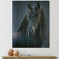 thumbnail image 1 of Designart 'Frisian Black Horse Portrait' Farmhouse Print on Natural Pine Wood, 1 of 5