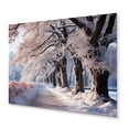 thumbnail image 1 of Designart "Frosty Forest in Winter III" Winter Landscape Metal Wall Art, 1 of 1