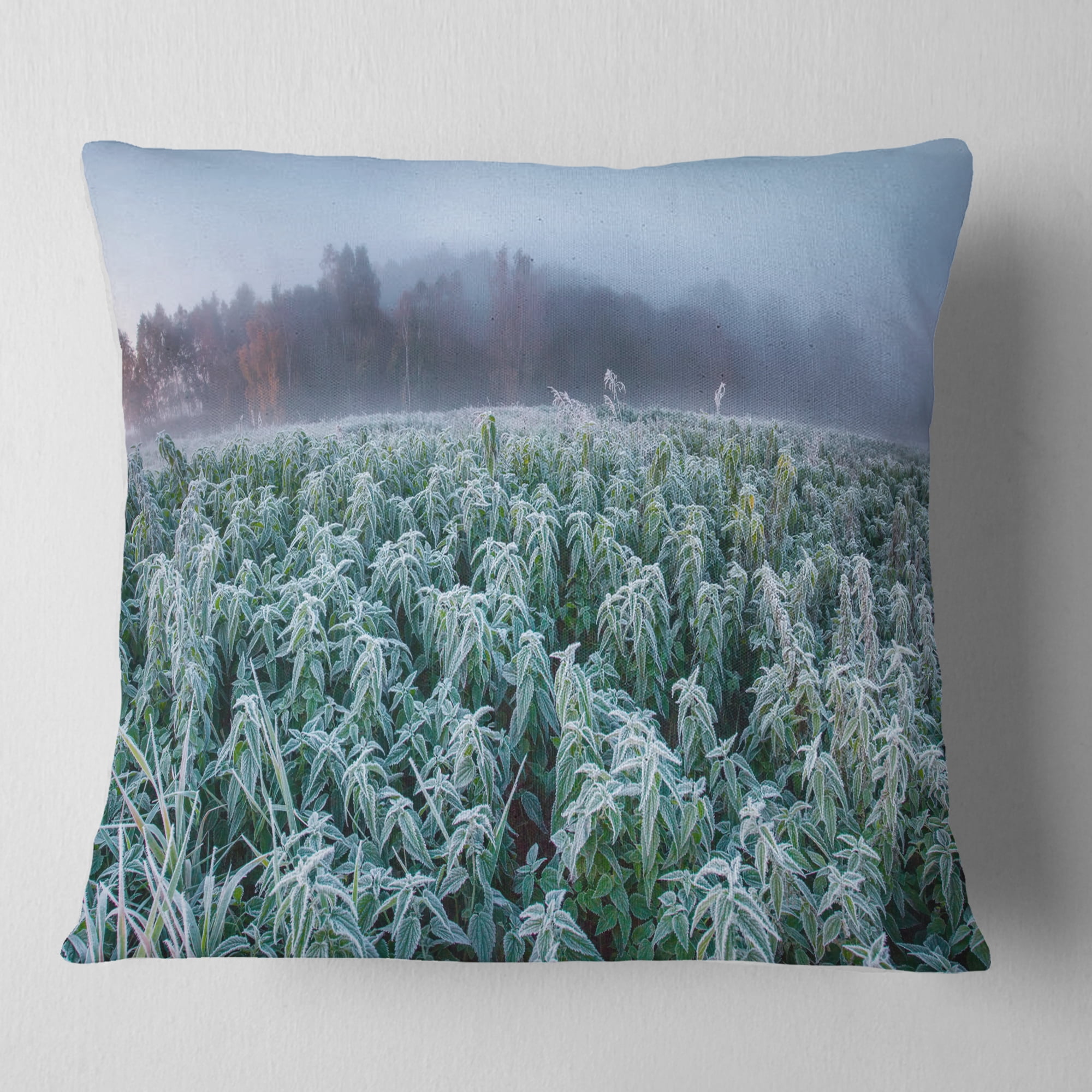 Designart Frozen Hemp Field in Autumn Morning - Landscape Printed Throw Pillow - 16x16