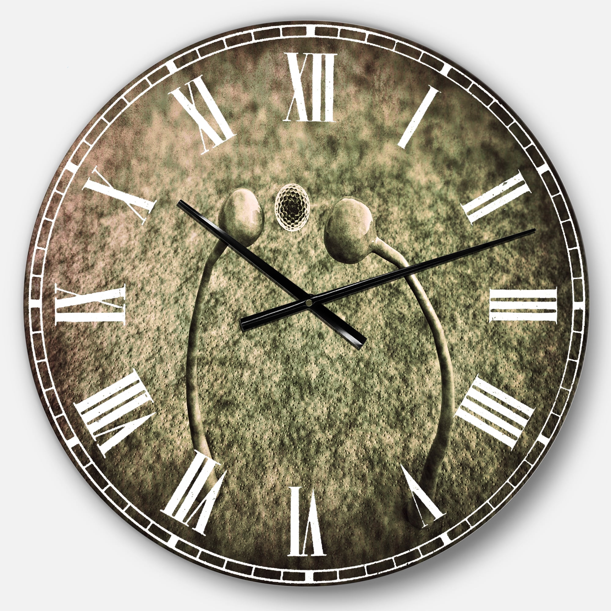 Designart Fungus on Leather Surface 23" x 23" Analog Round Tropical Wall Clock, CLM15387-C23