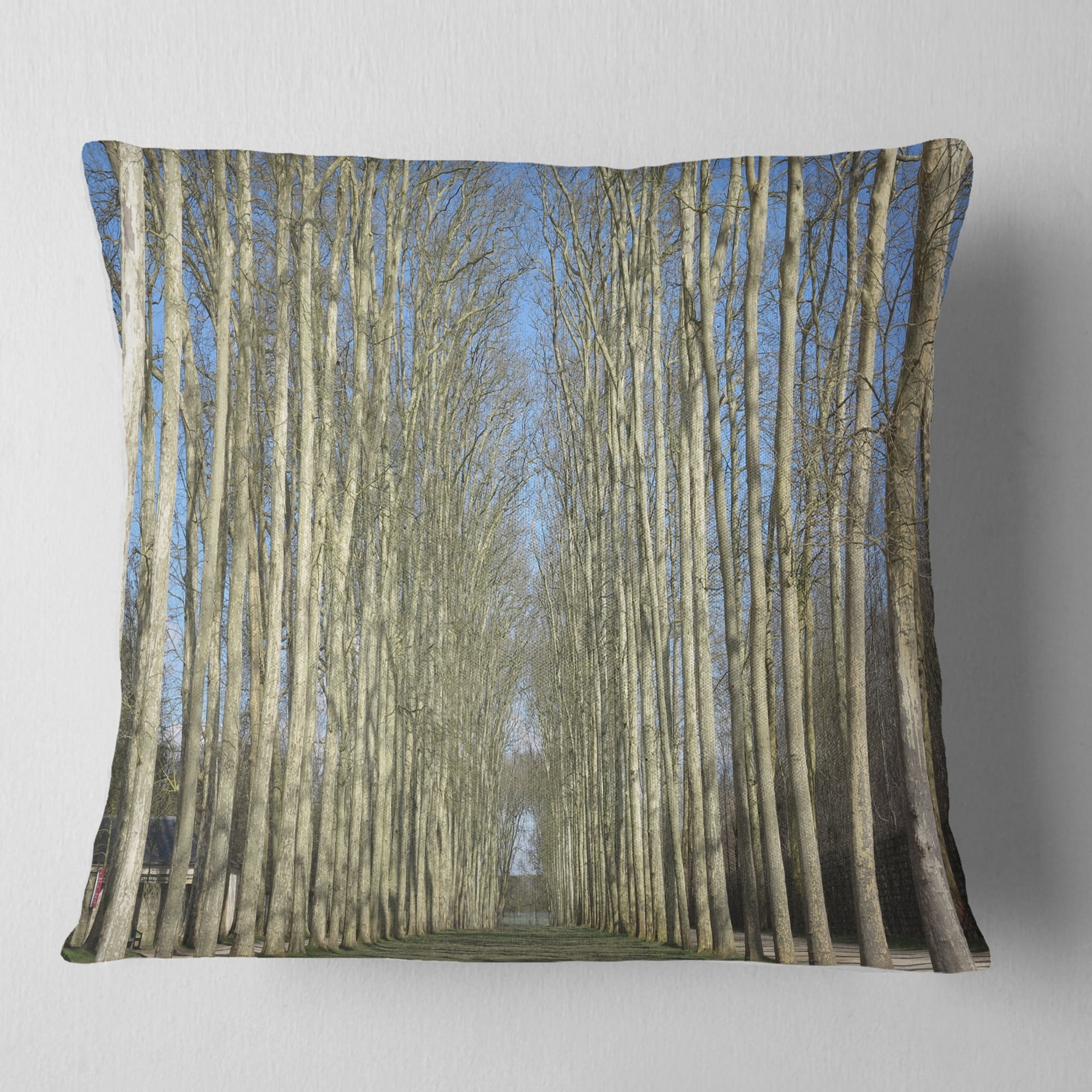 Designart Gardens of Palace Versailles - Modern Forest Throw Pillow - 18x18