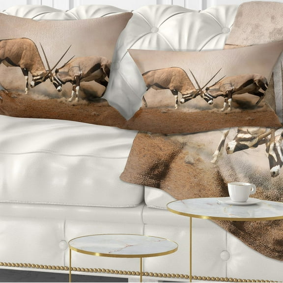 Designart Gemsbok Antelopes Fighting - African Wall Throw Pillow - 12x20
