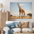 thumbnail image 1 of Designart "Gentle Horizon with Giraffes" Animals Canvas Art Print, 1 of 5