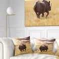 thumbnail image 1 of Designart Giant Rhino under Bright Sky - African Wall Throw Pillow - 18x18, 1 of 5