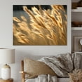thumbnail image 1 of Designart "Golden Dreams In Tall Grass Meadows" Meadow Canvas Art Print, 1 of 7