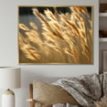 thumbnail image 1 of Designart "Golden Dreams In Tall Grass Meadows" Meadow Floater Framed Canvas Art Print, 1 of 5