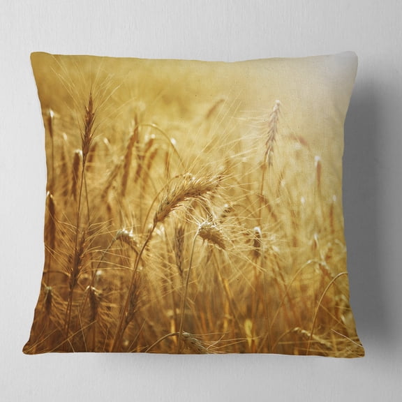 Designart Golden Wheat Field - Landscape Printed Throw Pillow - 16x16