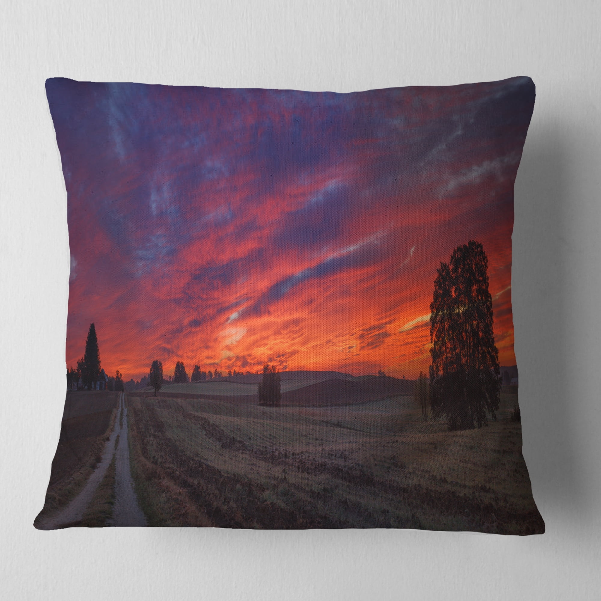 Designart Gorgeous Cloudy Sky during Fall - Landscape Printed Throw Pillow - 16x16