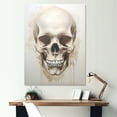 thumbnail image 1 of Designart "Graceful Bone Structure I" Skull Canvas Wall Art, 1 of 7