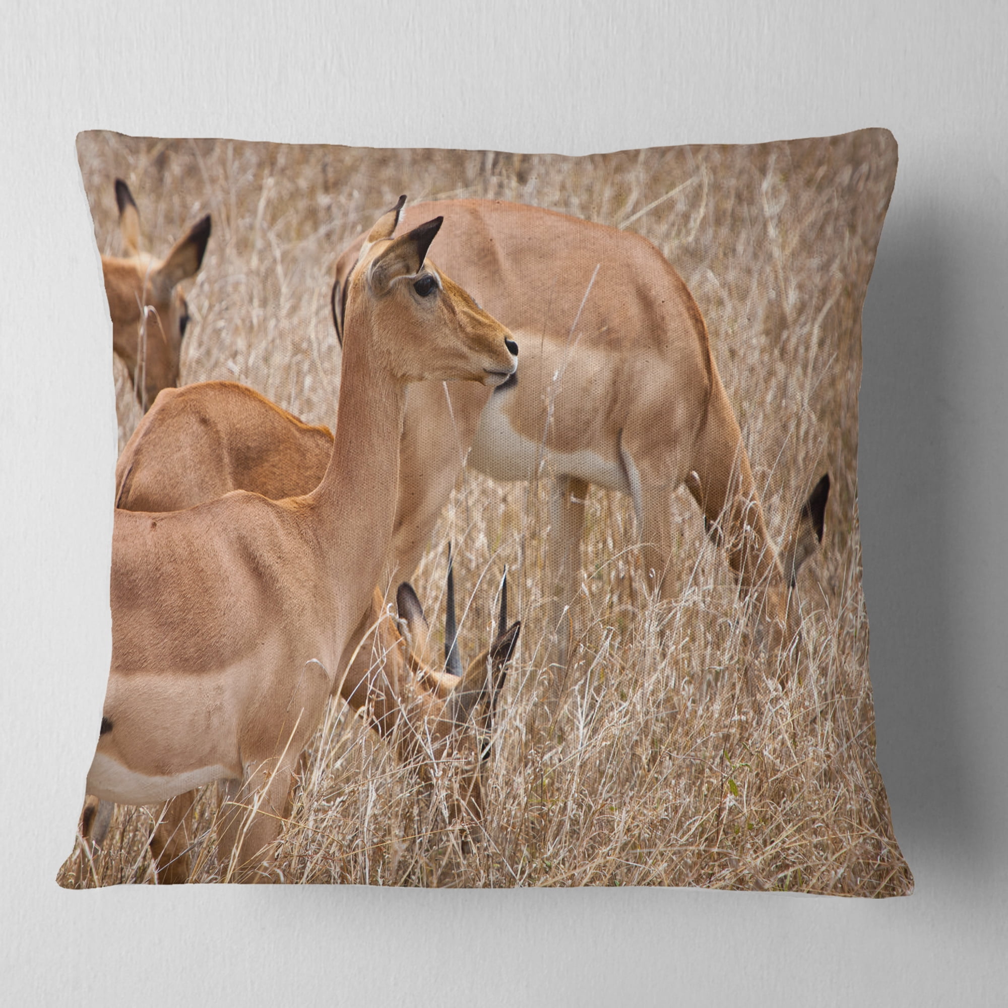 Designart Grants Gazelles Grazing in Grassland - Animal Throw Pillow - 18x18