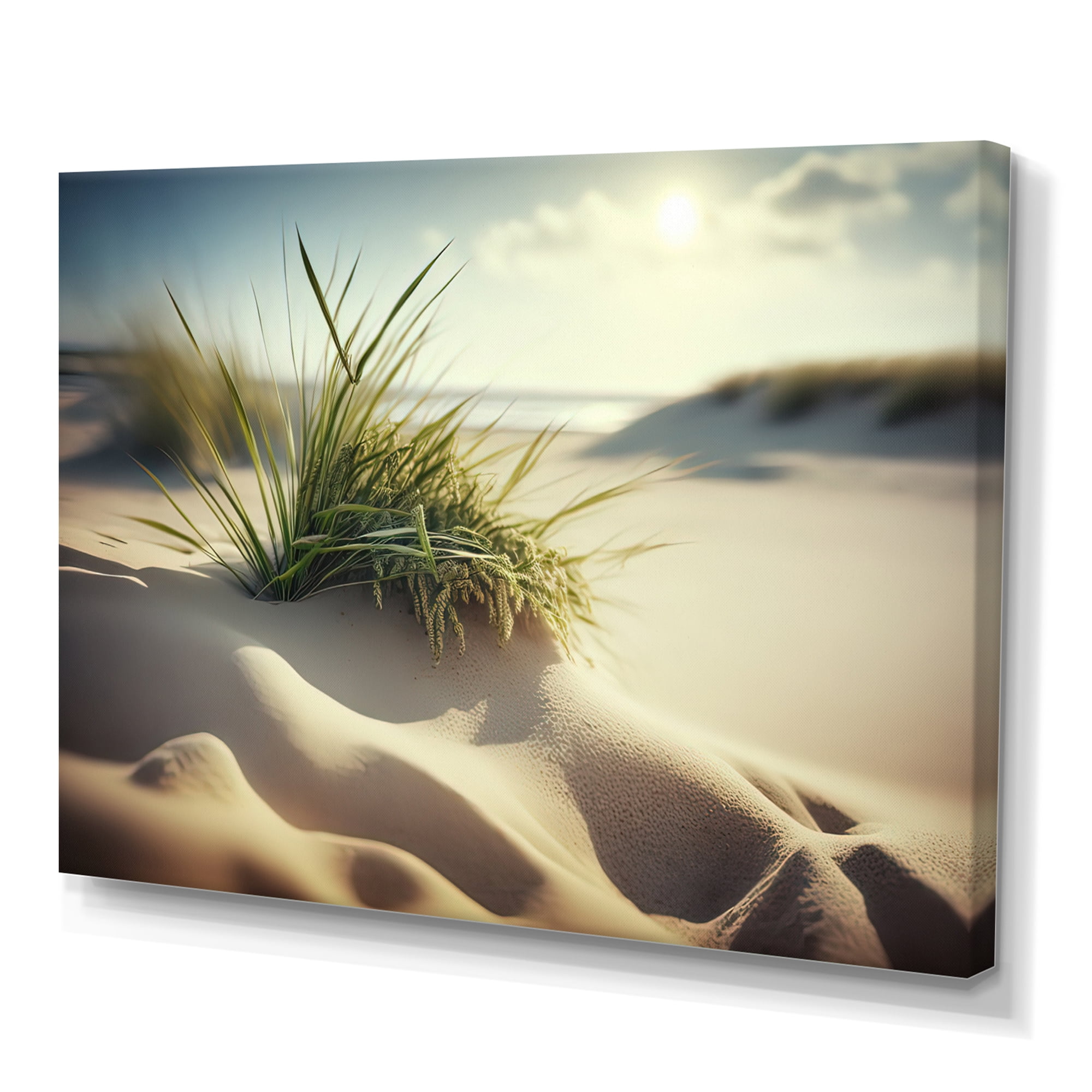 Designart Grass On Sand Dunes I Canvas Wall Art