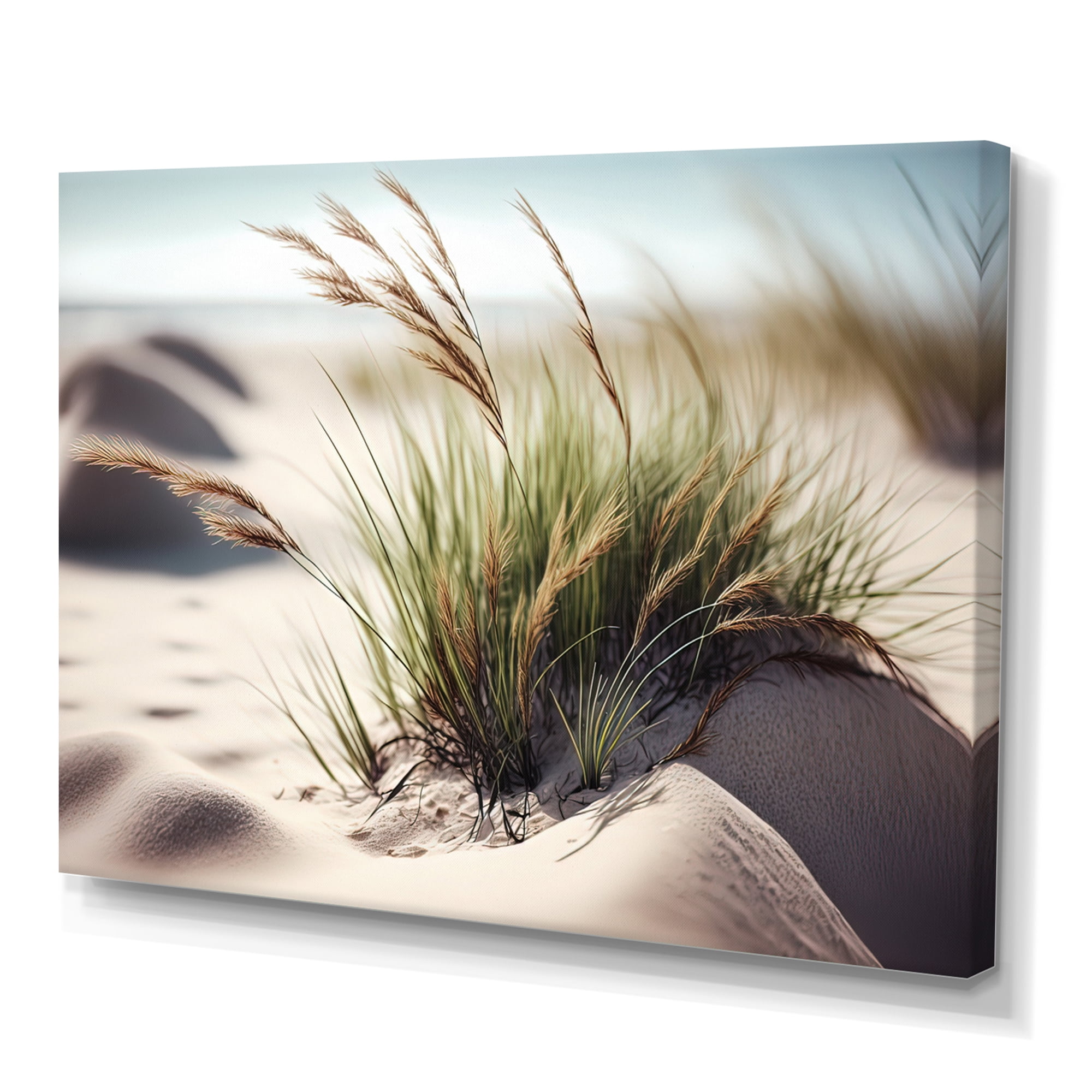 Designart Grass On Sand Dunes II Canvas Wall Art