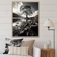 thumbnail image 1 of Designart "Grayscale Tree horizon" Floral Floater Framed Canvas Art Print, 1 of 7